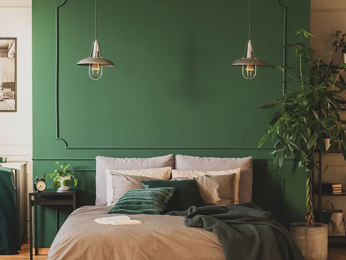 Photo of a green wall and bed