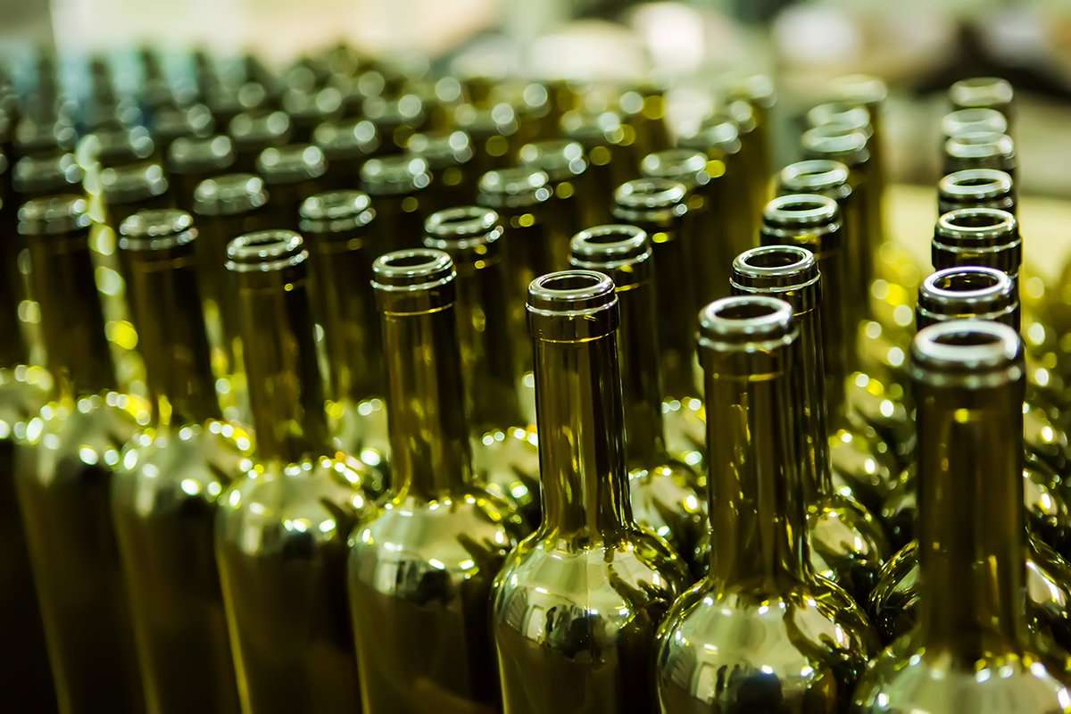 Large group of green recycled glass wine bottles at winery